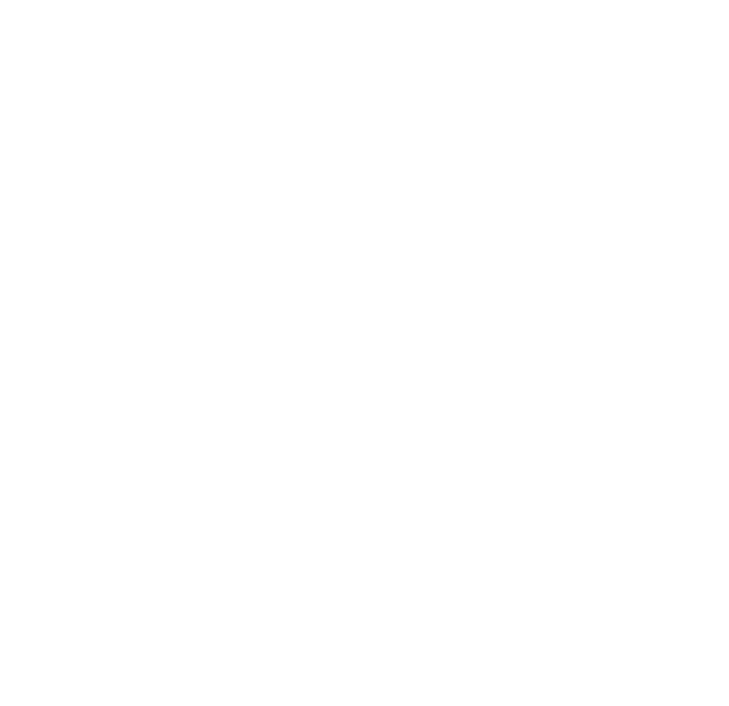 IOTA white logo