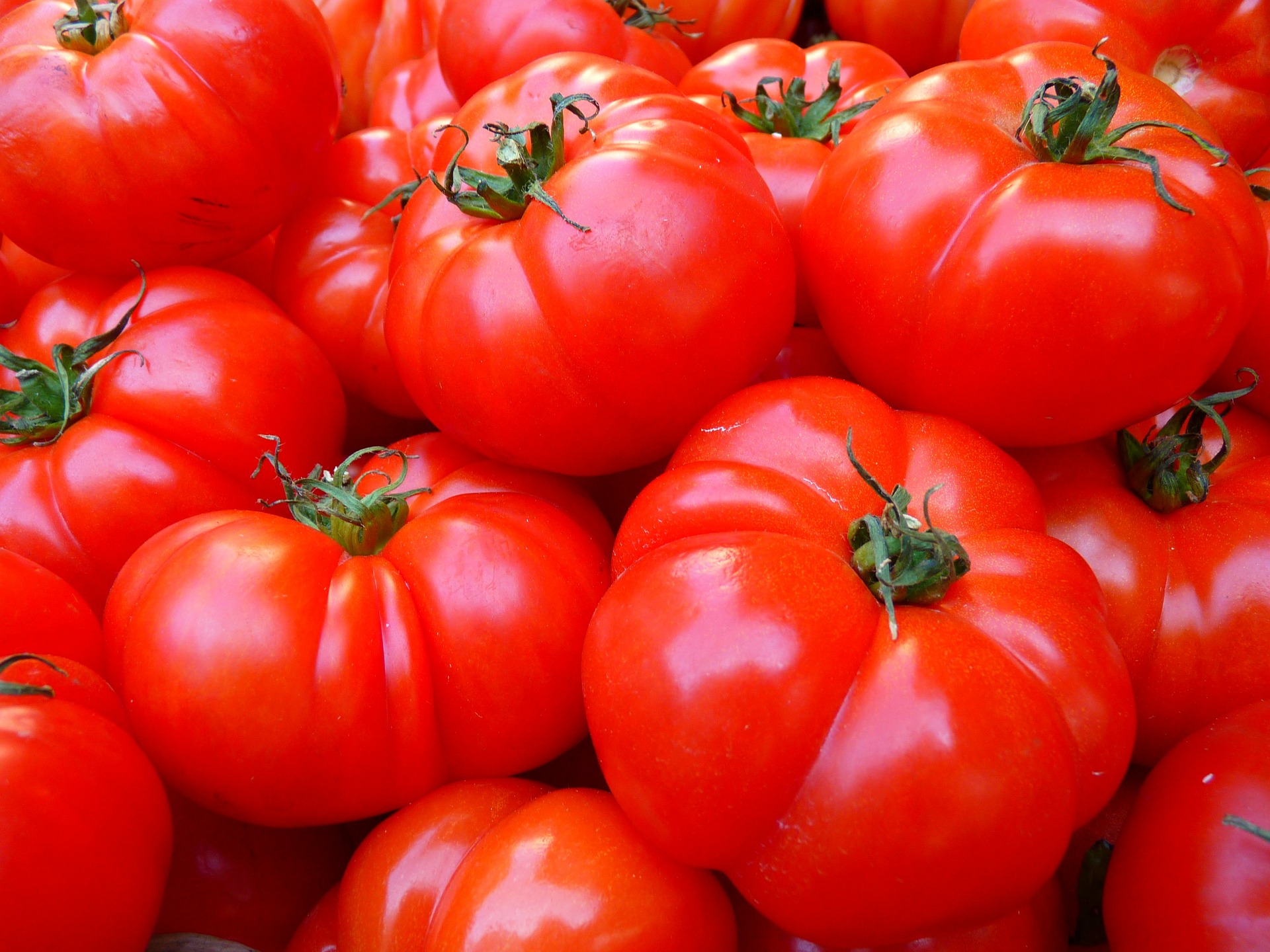 killer tomato
